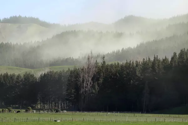 October rush for on-farm forest plantings